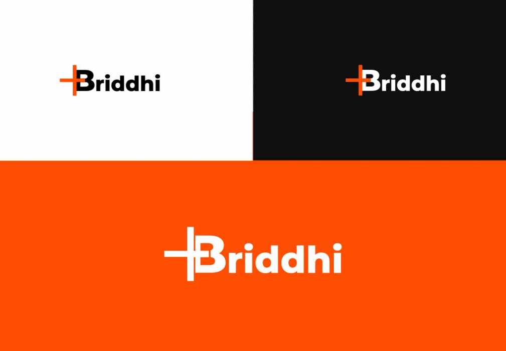 Free Download Briddhi Logo | One of the biggest oldest home in Bangladesh Full Vectors Shared by Pixahunt 