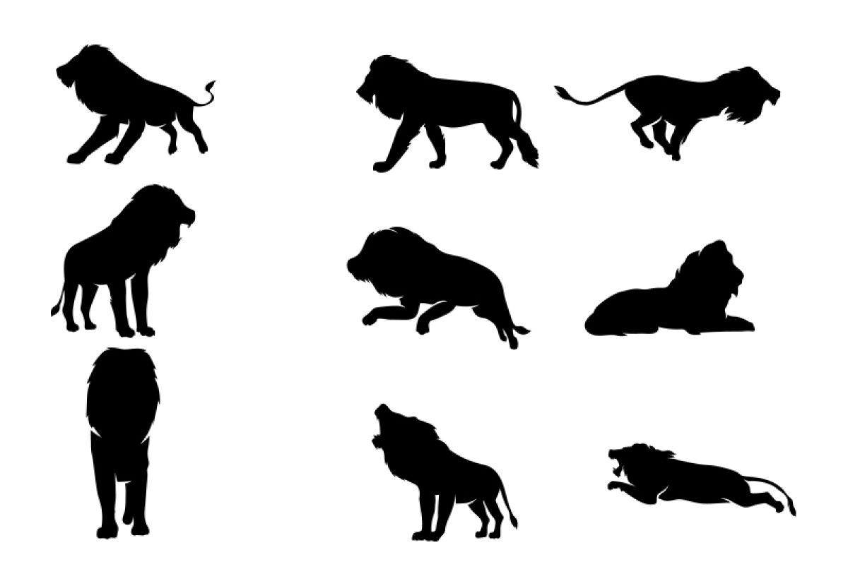 Set of isolated wild animals Lion | Hand drawn animal silhouette