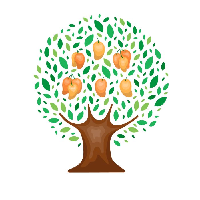 Mango tree illustration | Vector flat mango tree illustration