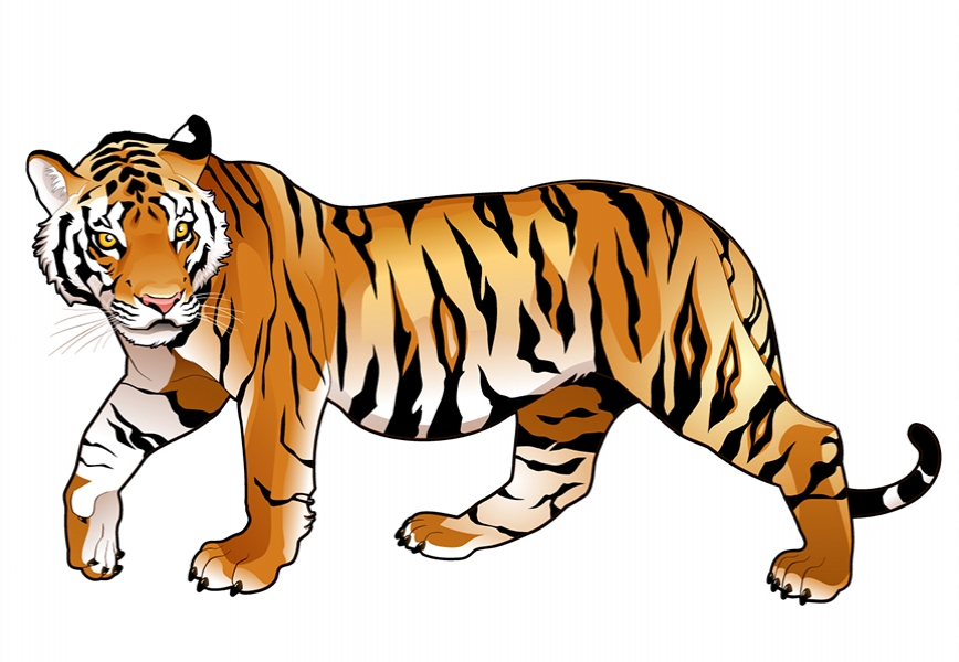 Free Download Bangladeshi royal Bengal tiger vector Full Vectors Shared by Pixahunt 
