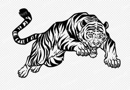 hand drawn tiger outline illustration | tiger hand drawn