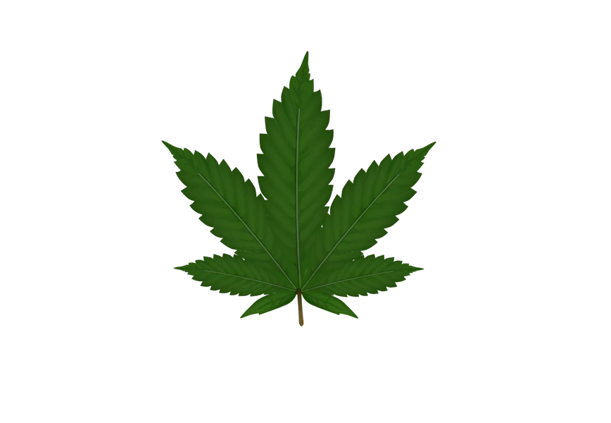 Free Premium PNG  cannabis marijuana leaf  transparent
