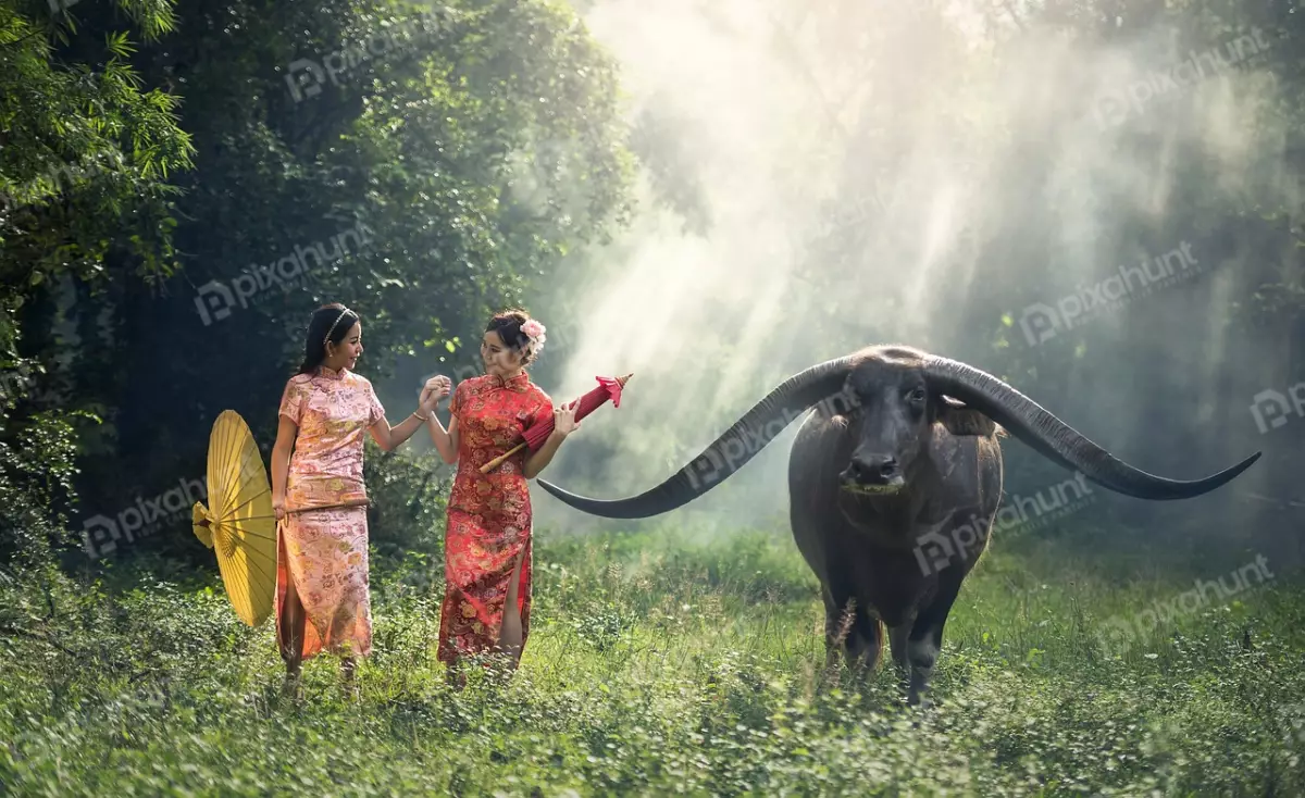 Free Premium Stock Photos A beautiful landscape of a rural area and Two women in traditional Chinese clothing are walking in a field of grass, and a water buffalo is grazing nearby