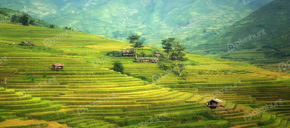 Free Premium Stock Photos A beautiful landscape of a valley with terraced rice fields abd rice fields are a bright green color and the sky is a light blue