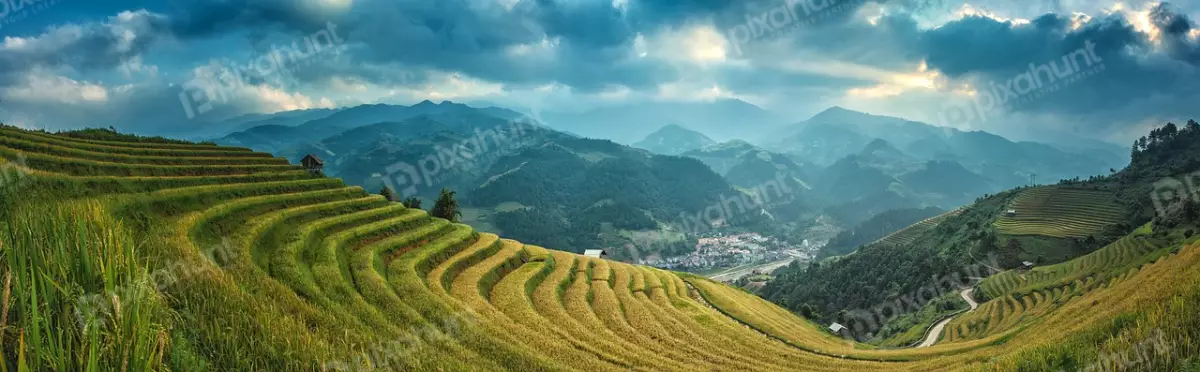 Free Premium Stock Photos A beautiful landscape of a valley with terraced rice fields and rice fields are a bright green color and the sky is a deep blue with white clouds