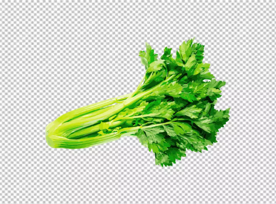 Free Premium PNG A bunch of celery in a glass vase with a transparent background 