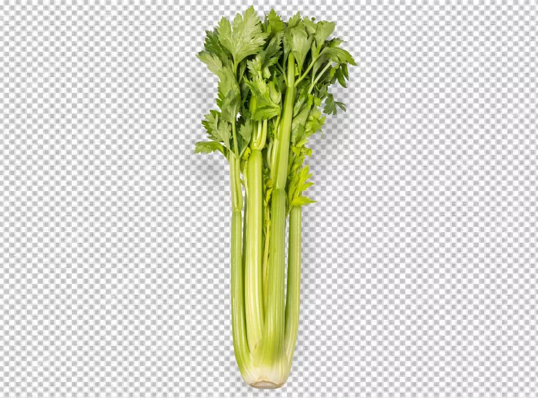 Free Premium PNG A bunch of celery that is laying on a table transparent background 