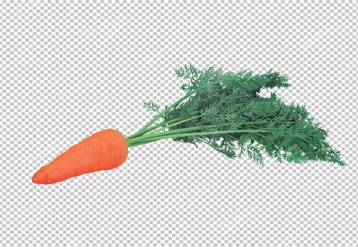 Free Premium PNG A carrot and a carrot on a transparent background