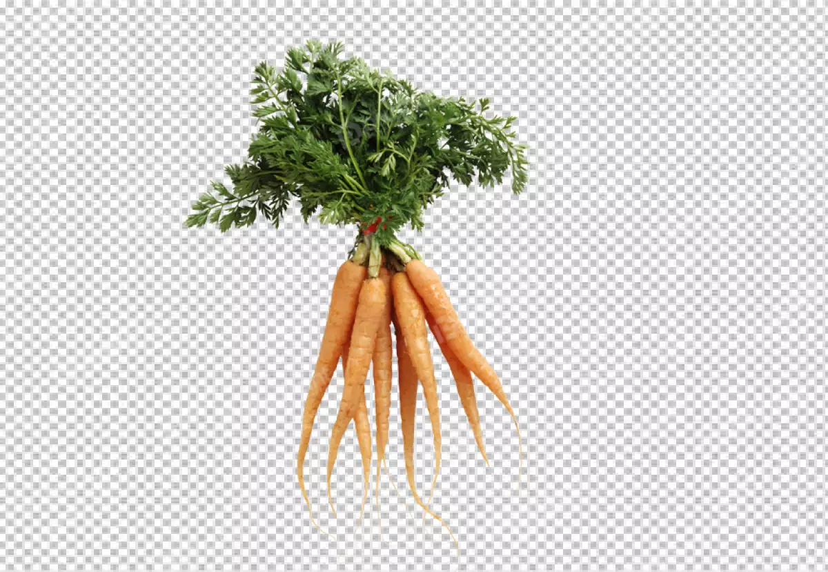 Free Premium PNG A carrot with green leaves transparent background 