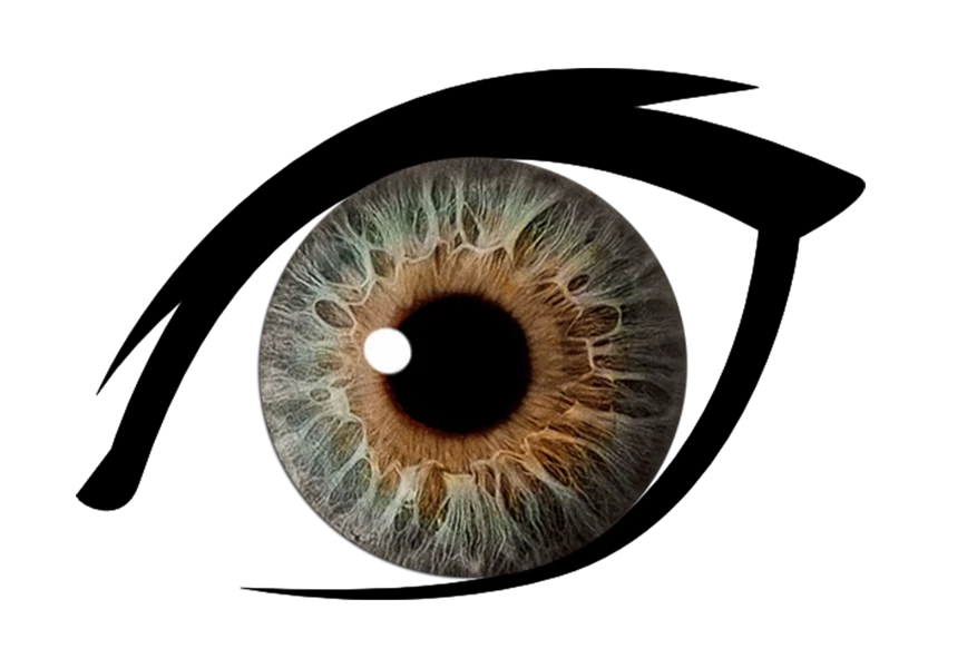 Free Premium PNG A close up of a human eye PNG