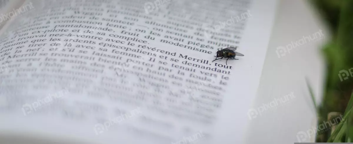 Free Premium Stock Photos A fly is perched on a book that is opened and laying flat on a grassy surface