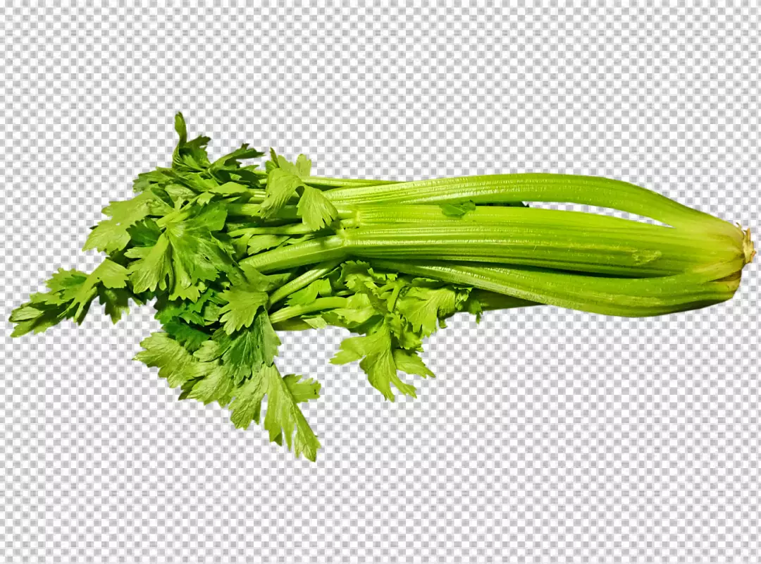 Free Premium PNG A glass vase with a bunch of celery in it