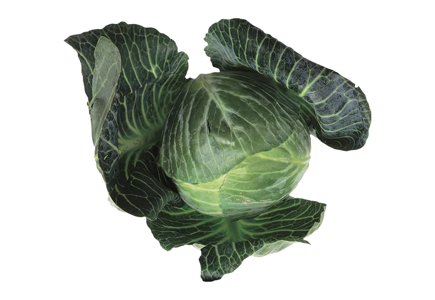 Free Premium PNG A green vegetable with a  transparent background