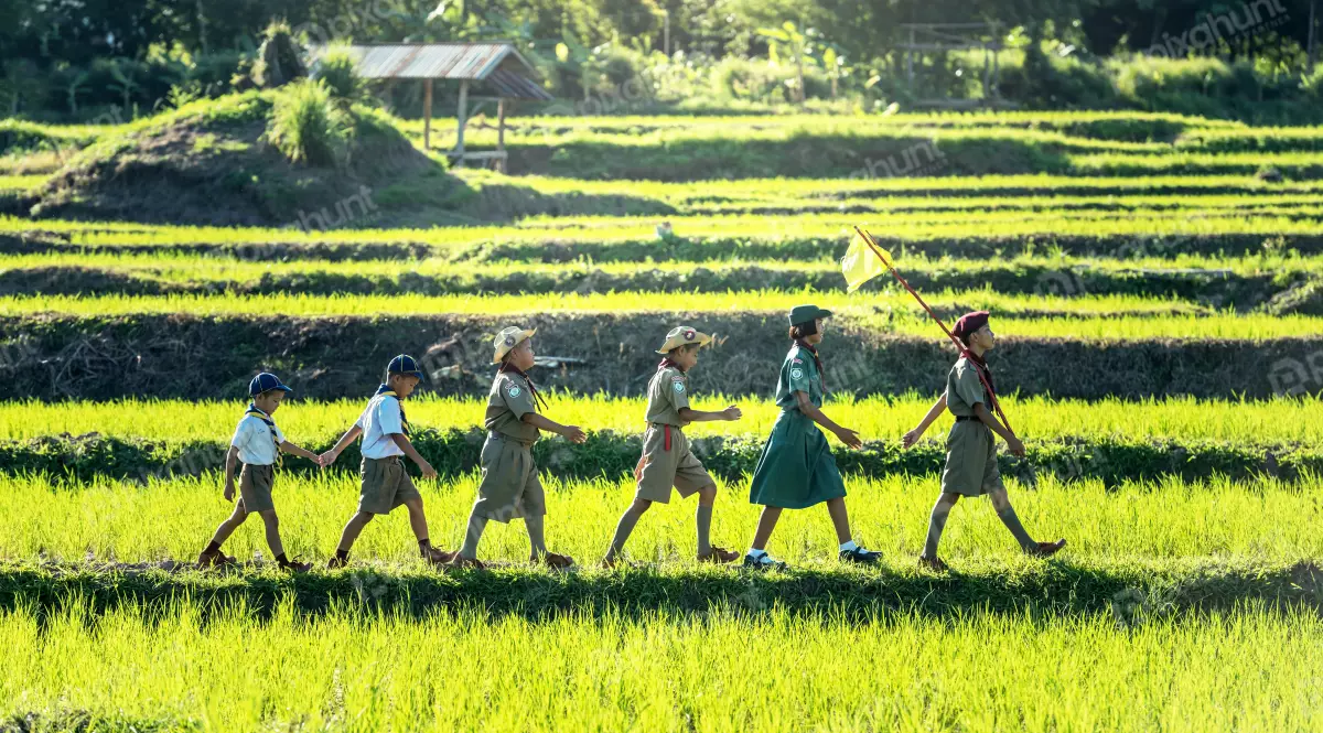 Free Premium Stock Photos A group of children walking in a line through a grassy field and wearing green and khaki uniforms also carrying flags