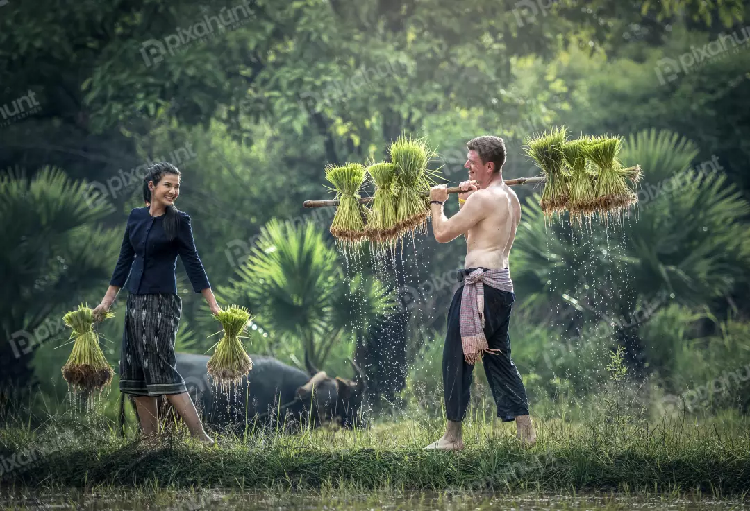 Free Premium Stock Photos A man and a woman are working in a rice field, planting seedlings in rural area | A beautiful landscape