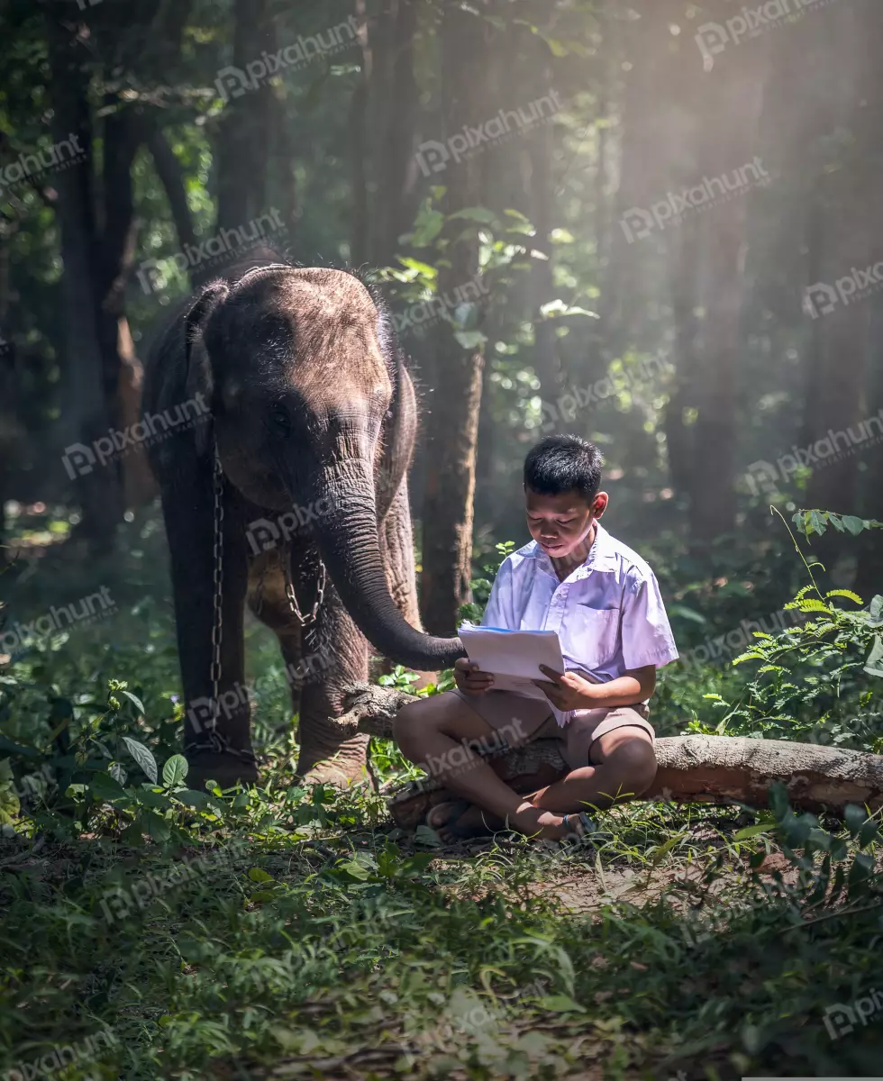 Free Premium Stock Photos A photograph of a boy sitting on a log in a forest and boy is wearing a school uniform and is reading a book