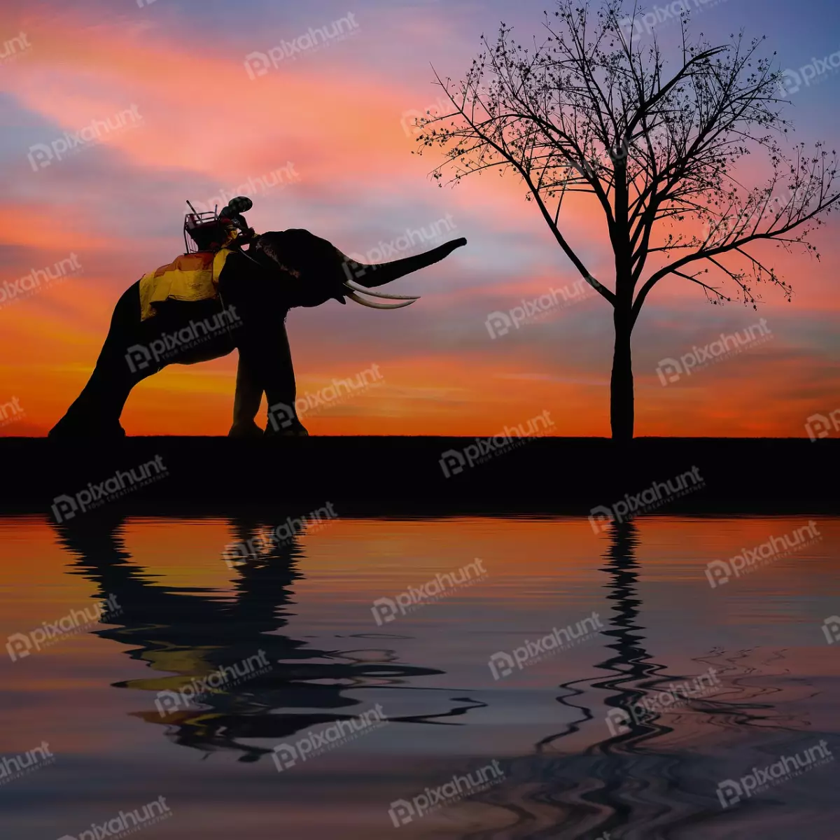 Free Premium Stock Photos A silhouette of an elephant with a mahout on its back, walking in front of a tree