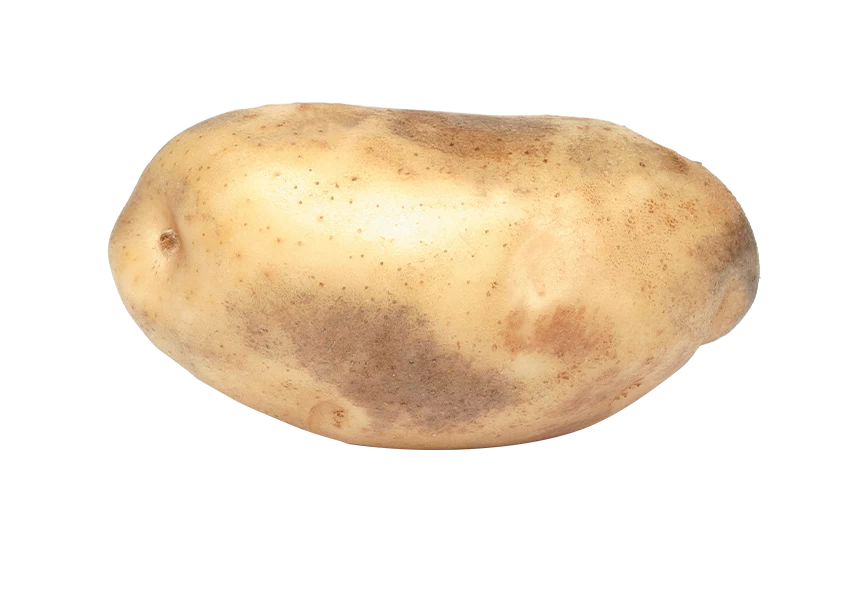 Free Premium PNG A single Potatoes looking so Fresh