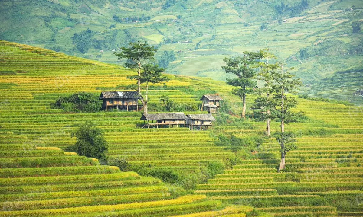 Free Premium Stock Photos A valley with rice terraces and terraces are built along the contours of the hills with they create a stunning visual effect