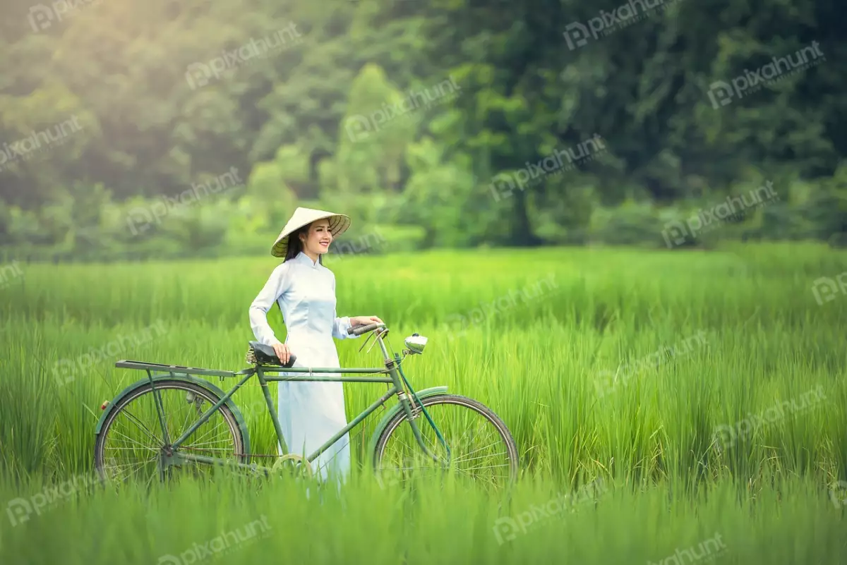 Free Premium Stock Photos A woman in white dress standing in a green rice field And wearing a traditional Vietnamese conical hat and is holding a bicycle