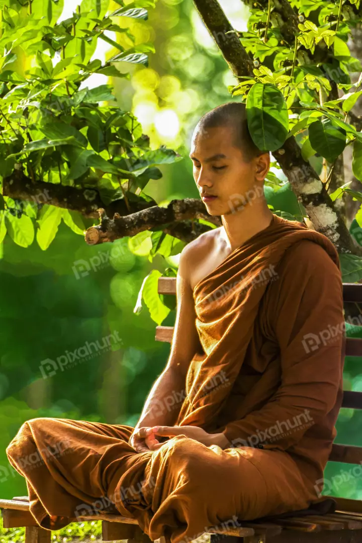 Free Premium Stock Photos A young Buddhist monk in orange robes sitting in a meditative pose on a wooden bench in a lush green garden