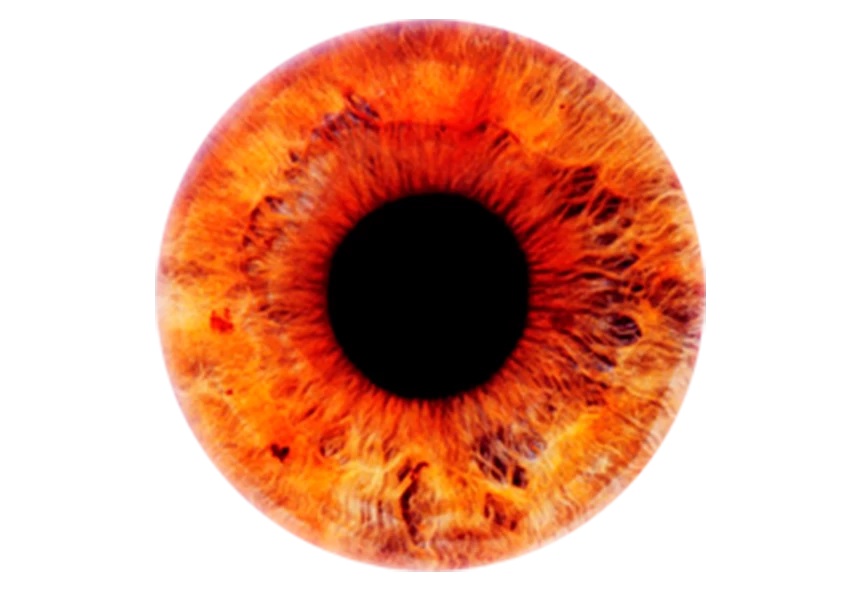 Free Premium PNG Abstract Red Human Eyeballs Iris Pupil on transparent background