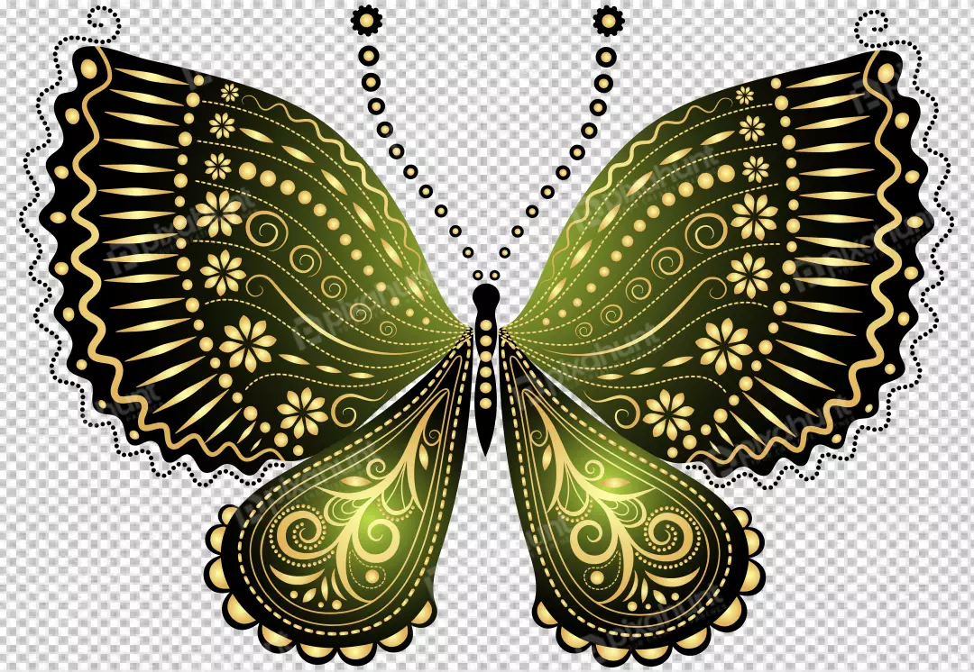Free Premium PNG Beautiful Butterfly Clipart - Decorative Butterfly