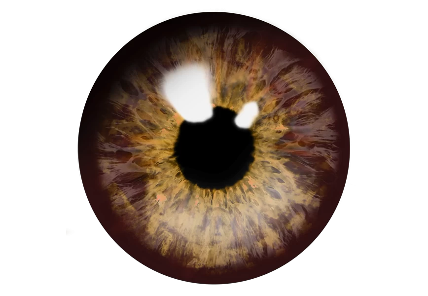 Free Premium PNG Beautiful human macro eye closeup with eyeball and iris looking front