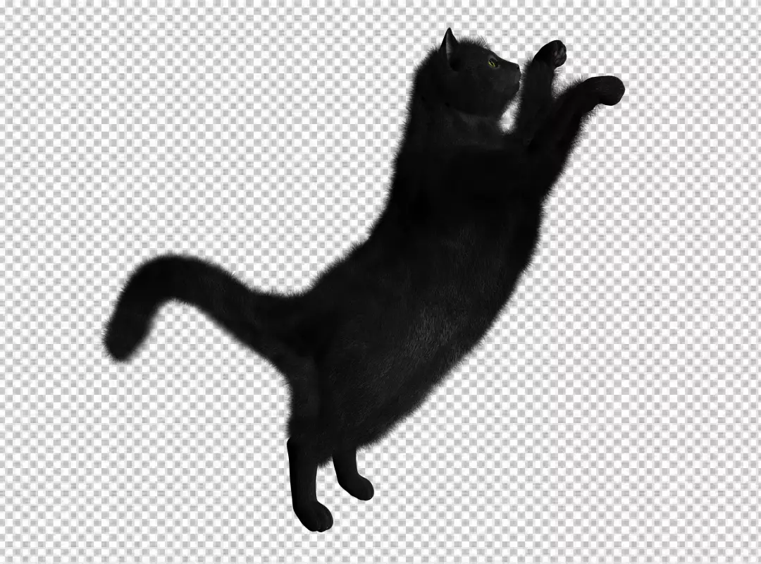 Free Premium PNG Black cat looking away against transparent background