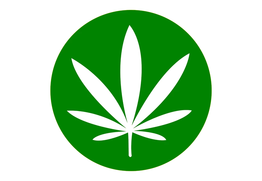 Free Premium PNG Botanical cannabis leaves logo png