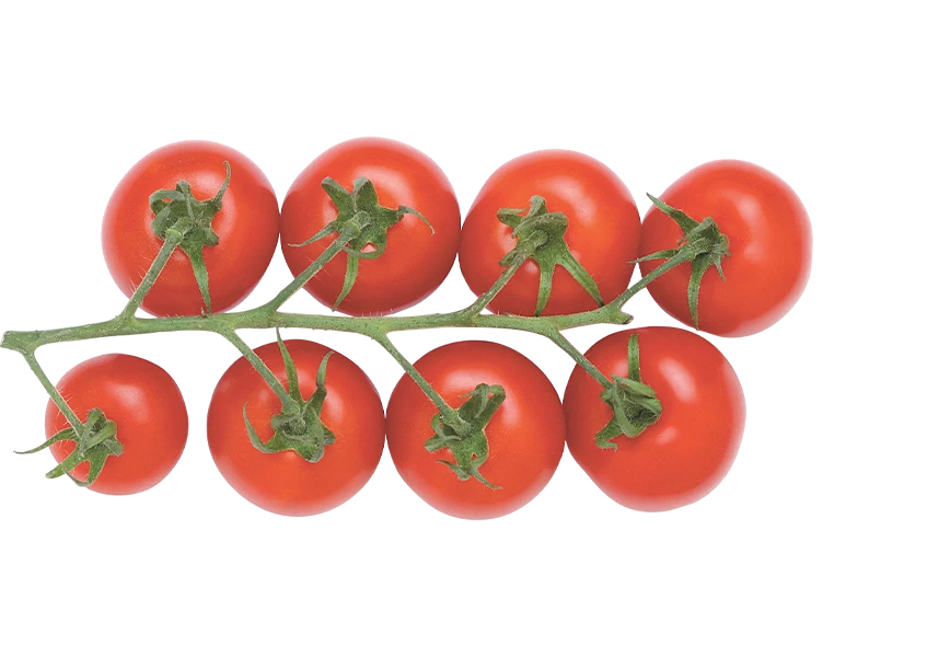 Free Premium PNG Branch of red organic tomatoes Top View