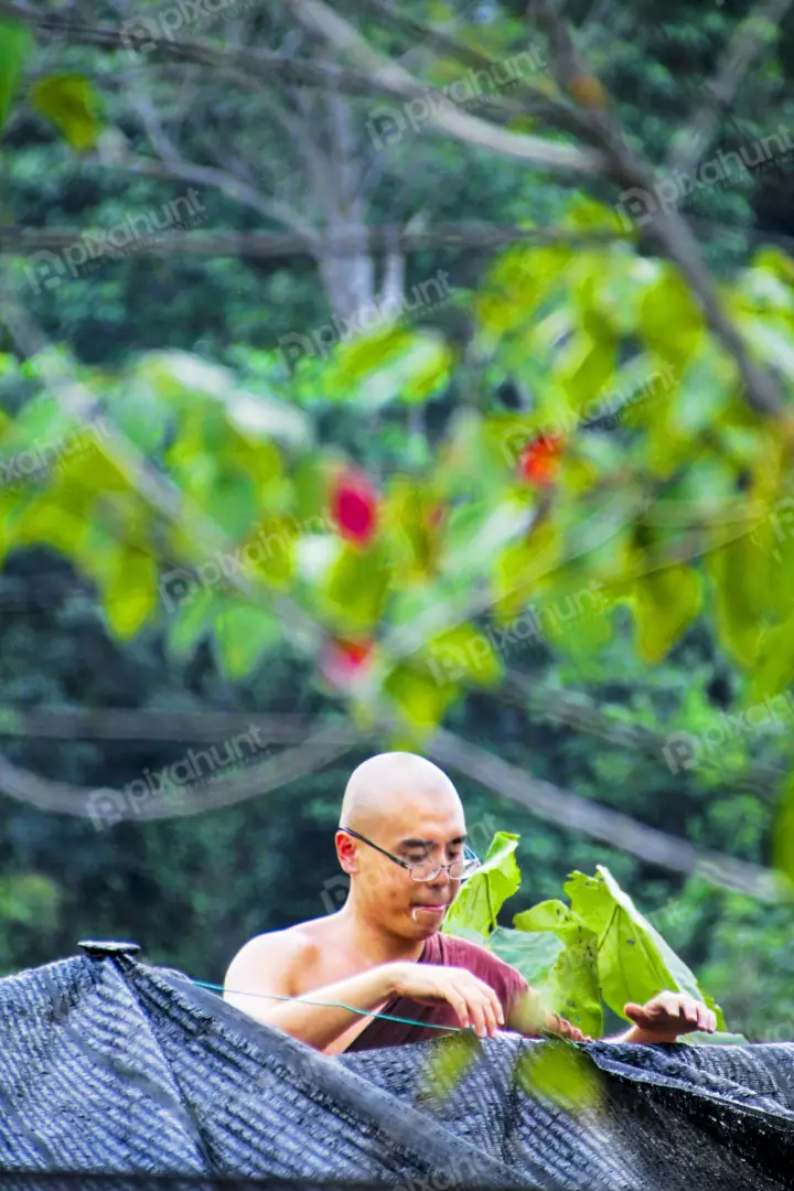 Free Premium Stock Photos Buddhisg monk Working in deep forest religion concept