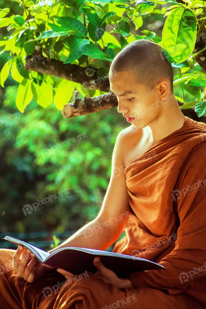 Free Premium Stock Photos Buddhist Reading A Book in Nature environment