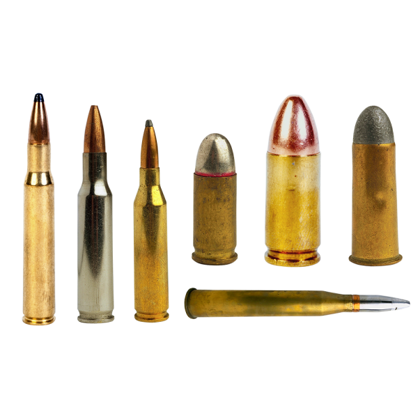 Free Premium PNG Bullets of different calibers stand in row, ammo