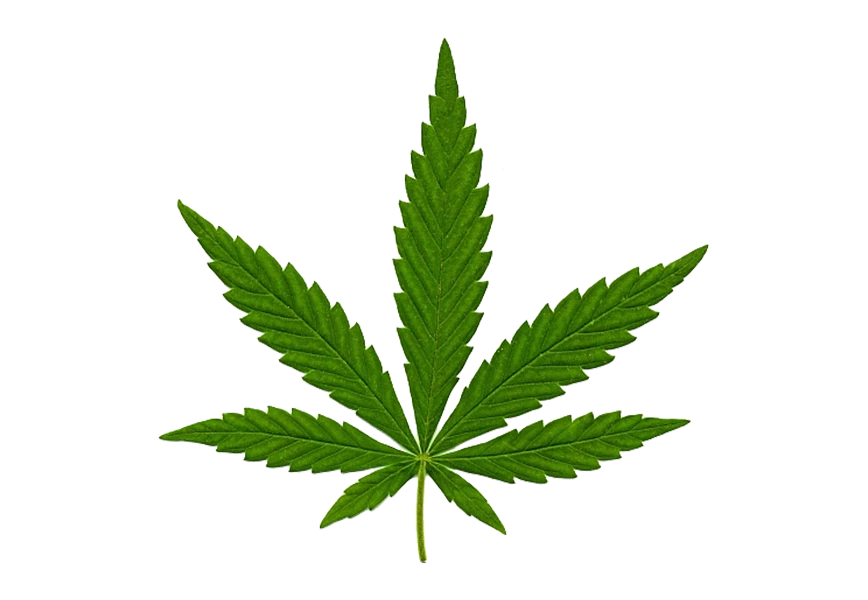 Free Premium PNG Cannabis Leaf png