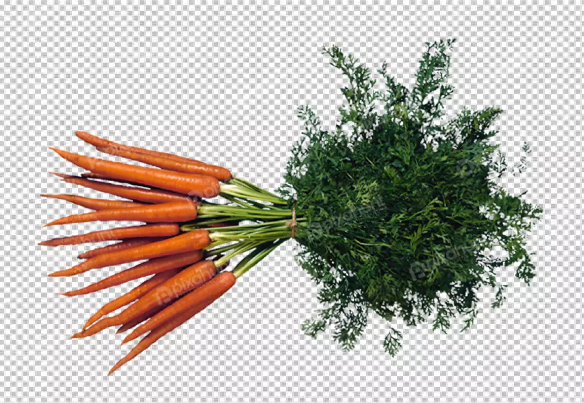 Free Premium PNG Carrot fresh vegetable on transparent background 