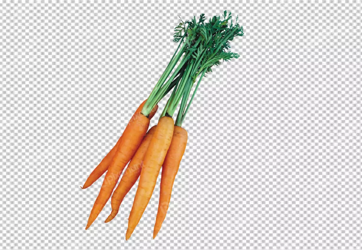 Free Premium PNG Carrots on a transpaernt background 