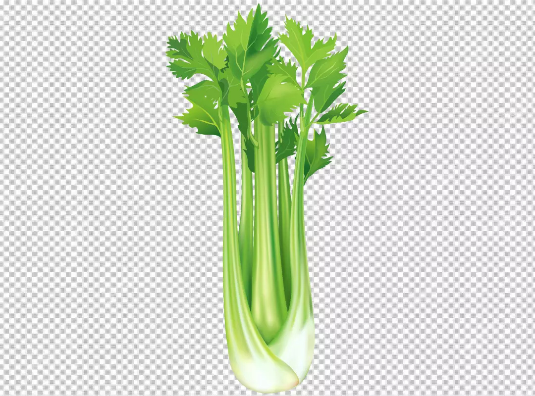 Free Premium PNG Celery on isolated transparent background 