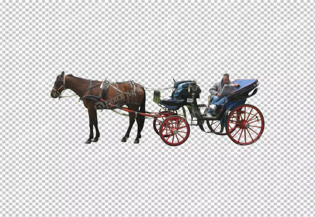 Free Premium PNG Classic carriage with man transparent background 