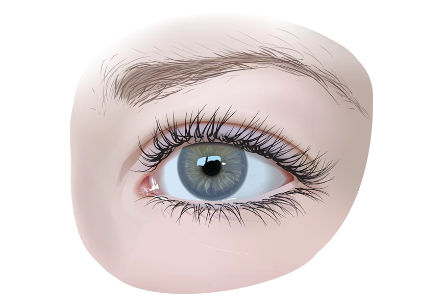 Free Premium PNG Close up gray eyes on face of young girl