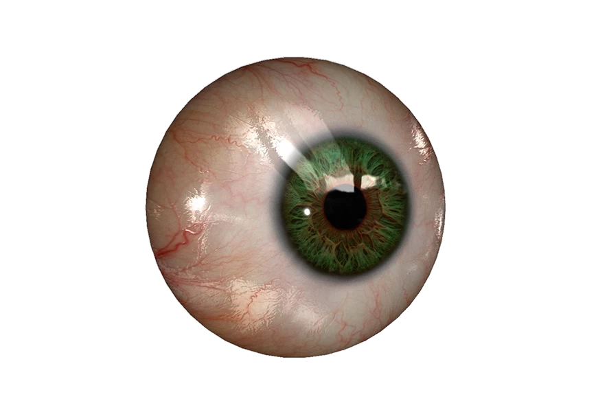 Free Premium PNG Close up image of human iris 3d illustration ideal for transparent background or texture