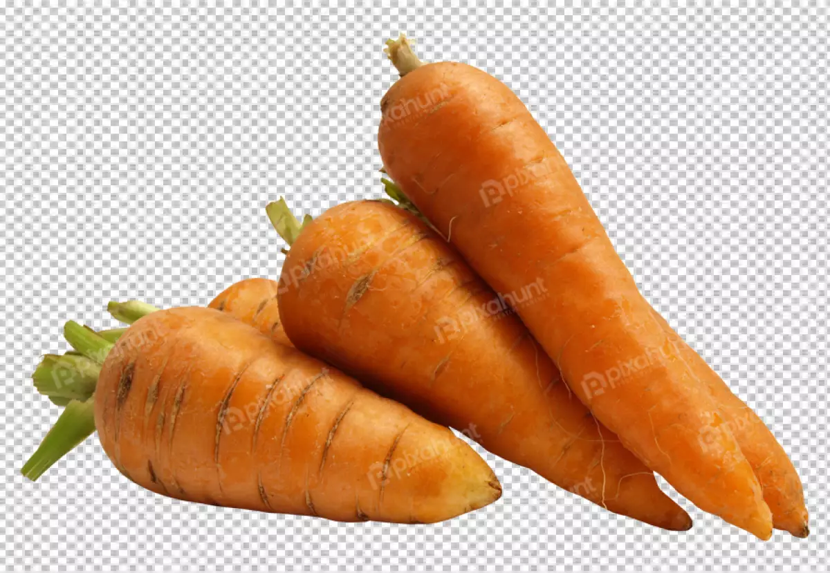 Free Premium PNG Close-up of carrots on transparent  background