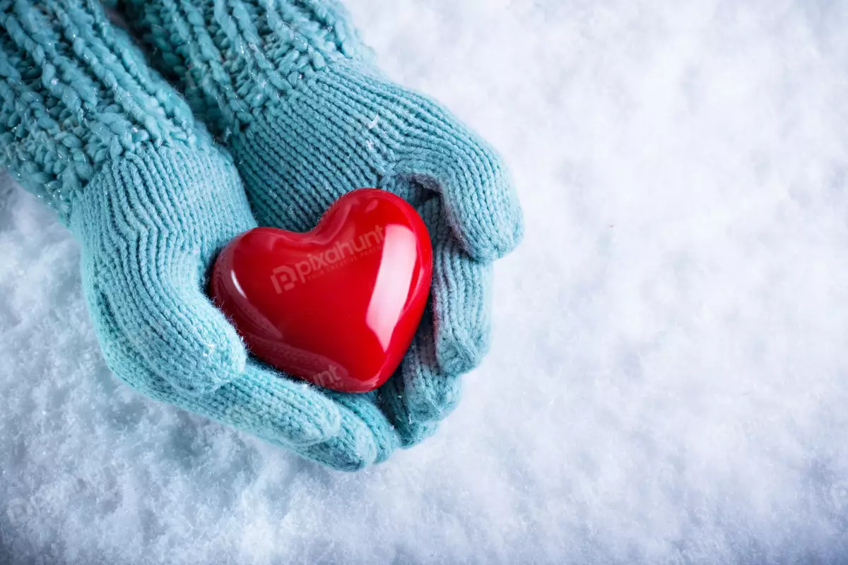 Free Premium Stock Photos Close-up photo of holding love in the snow in winter