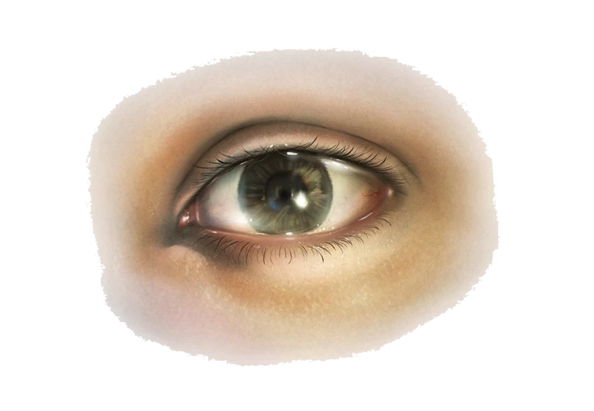 Free Premium PNG Closeup shot of a person's brown eye PNG