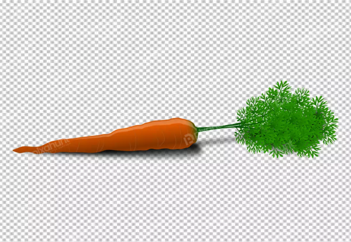 Free Premium PNG Cut green whole carrot transparent background 