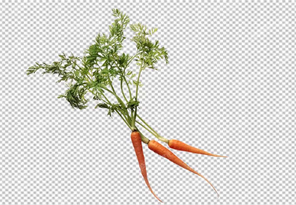 Free Premium PNG Delicious carrot raw image transparent background 