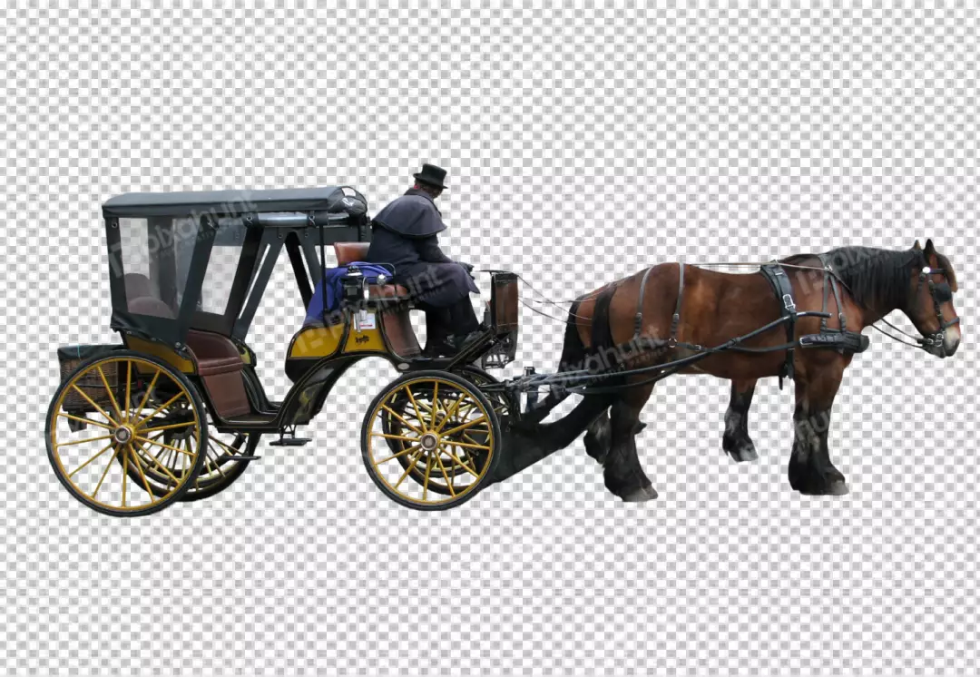 Free Premium PNG Equestrian Elegance A Sojourn with Horse and Carriage Isolated on transparent  Background