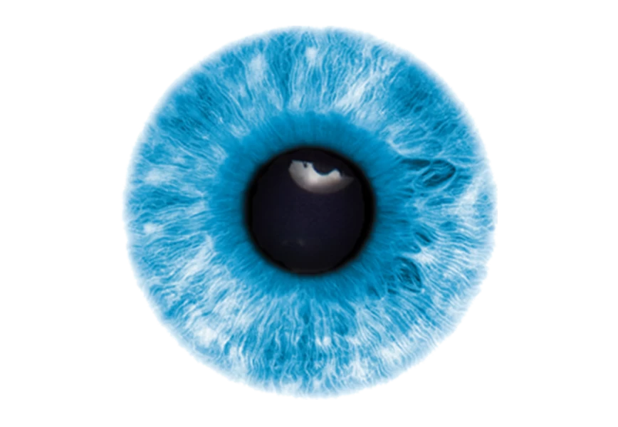 Free Premium PNG Eyeball with shadow on transparent background