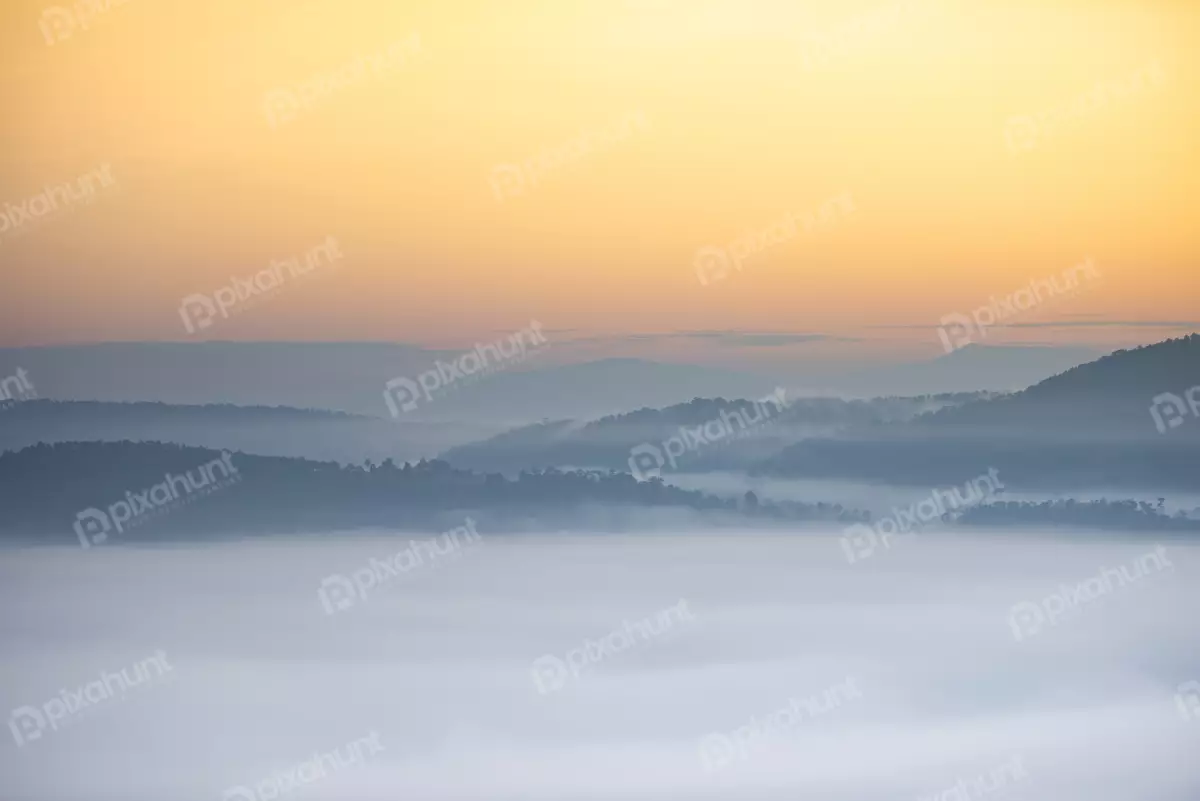 Free Premium Stock Photos Free Foggy landscape forest in the morning beautiful sunrise mist cover mountain background at countryside winter