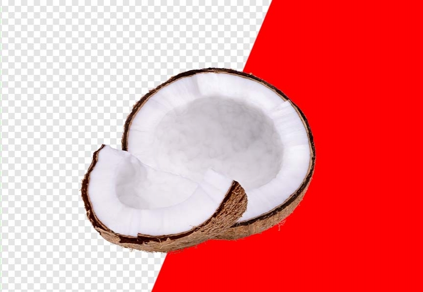 Free Premium PNG Free Tropical Vibes- Download Coconut PNG Images for Your Creative Project
